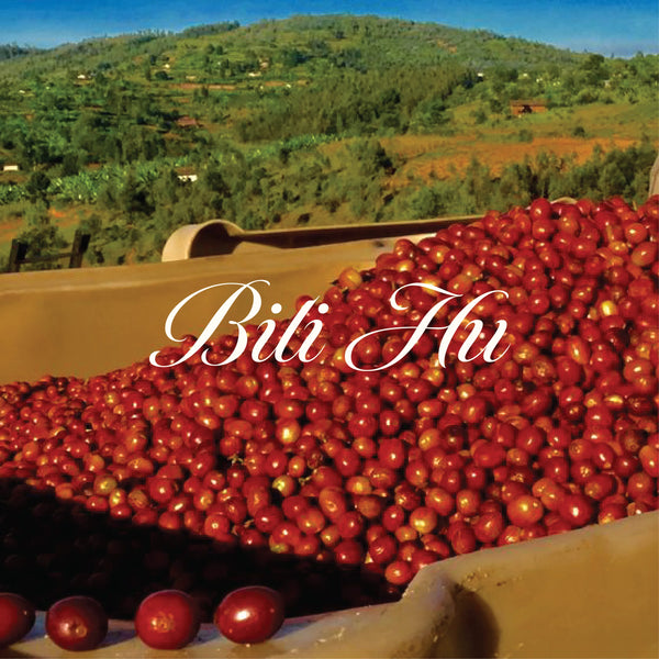Anaerobic Fermented Arabica Coffee - Bili Hu