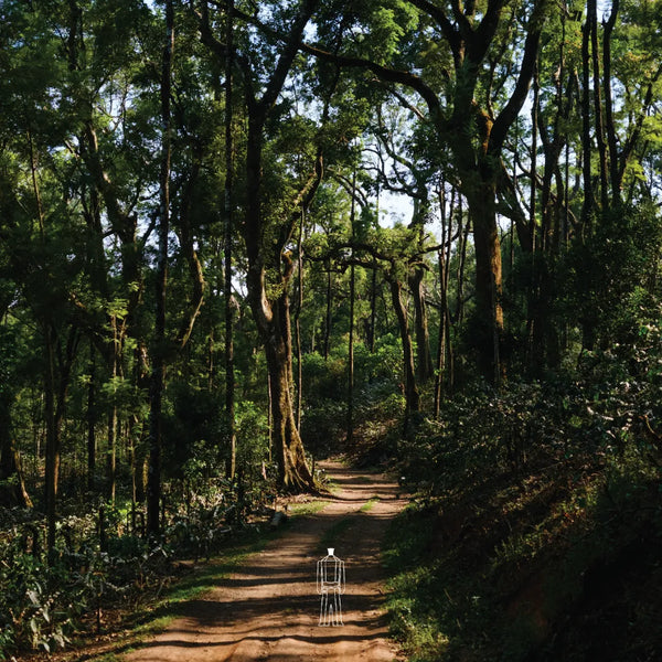 Kalledevarapura Estate