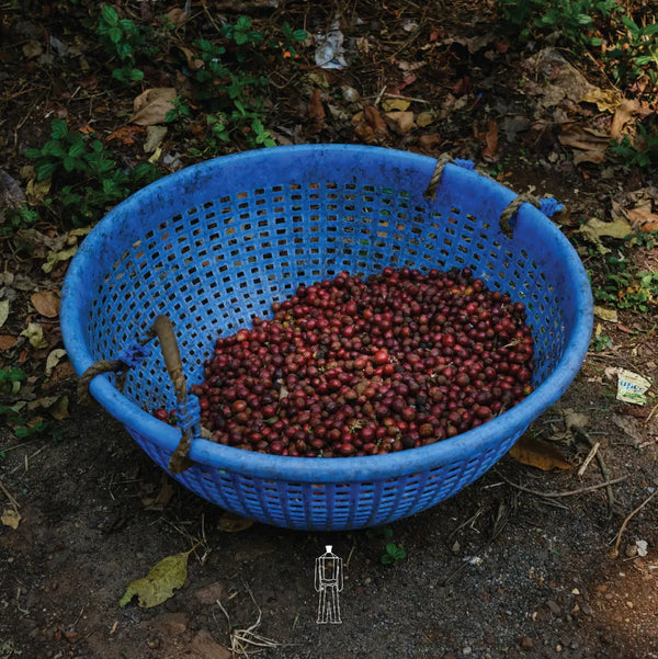 Krishna Estate