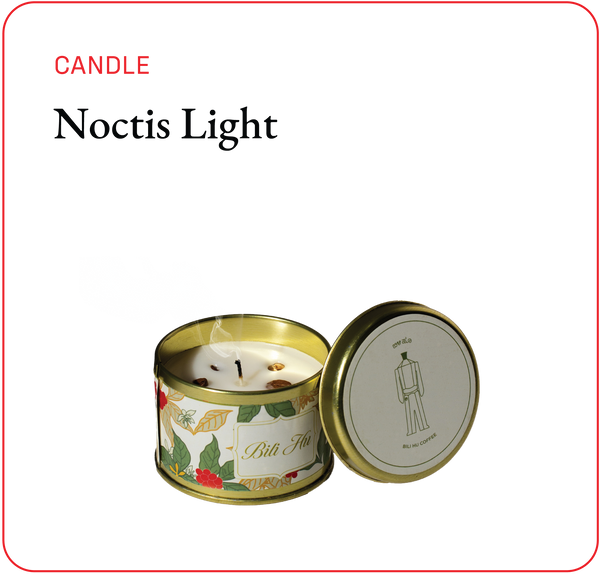 Noctis Light