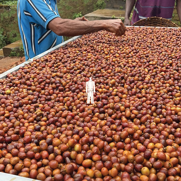 Vietnamese Style Coffee Blend